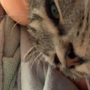 Meet your Posher, Jane